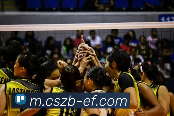 彩神争霸平台生态图